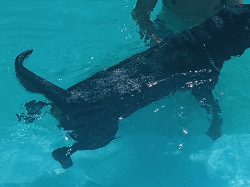 Tufão Atleta Olimpico